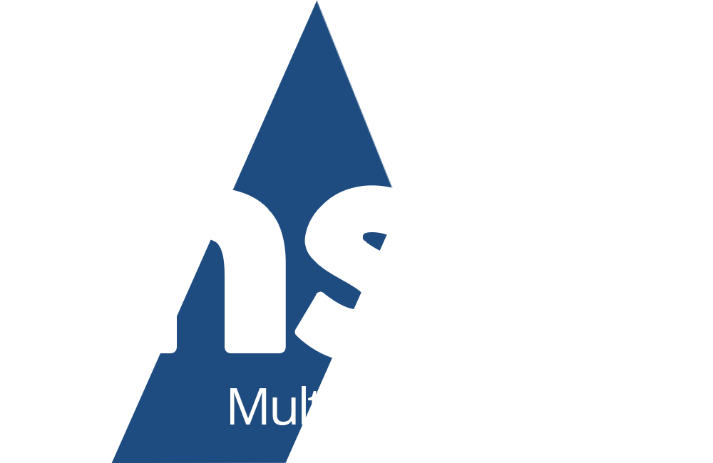 MSIB